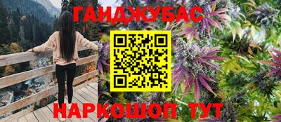 Альфа ПВП Будённовск