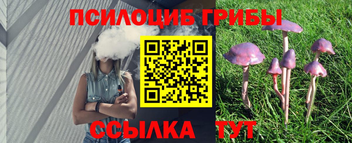 Кудымкар  Галлюциногенные грибы Cubensis  Галлюциногенные грибы ЛСД  Вход с VPN 