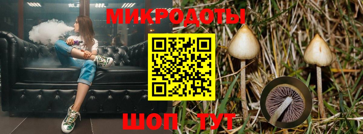 Галлюциногенные грибы Psilocybe Кудымкар